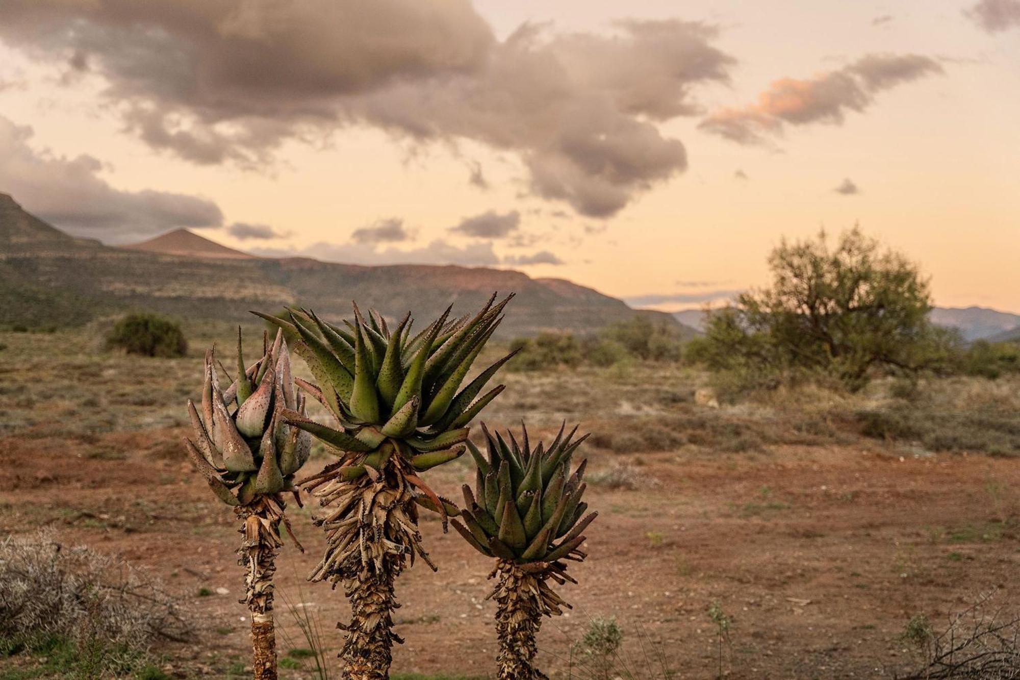 Samara Karoo Reserve Villa Graaff Reinet Exterior photo