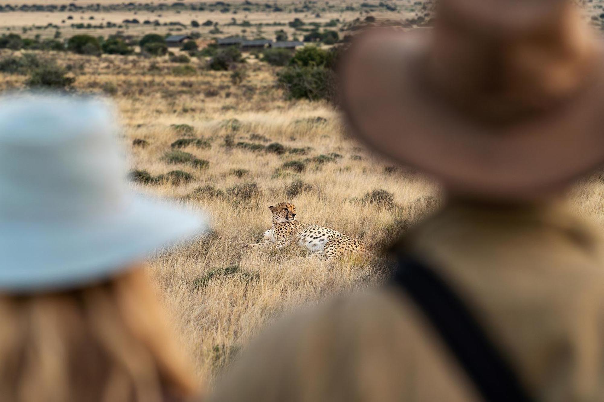 Samara Karoo Reserve Graaff Reinet Exterior photo